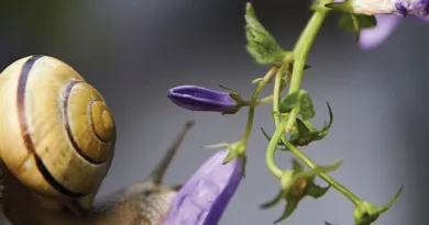 Screenshot 2026 03 09 085354